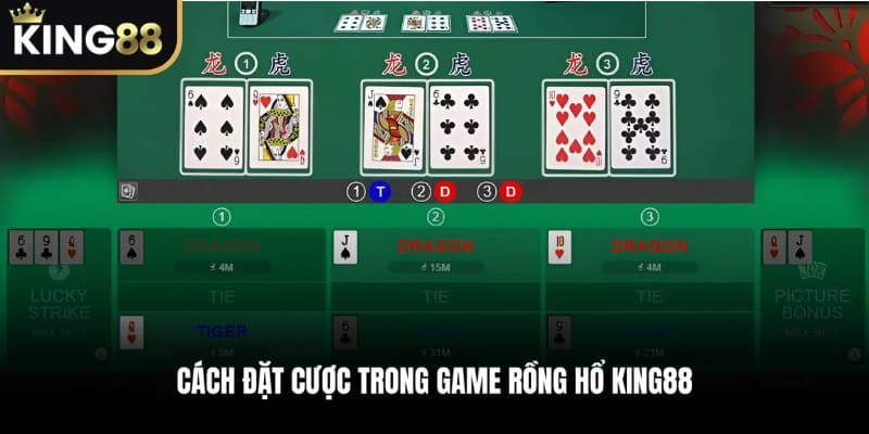 Cách đặt cược trong game Rồng Hổ KING88