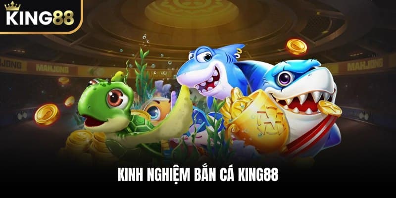 Chia sẻ kinh nghiệm bắn cá KING88 để có hiệu quả cao