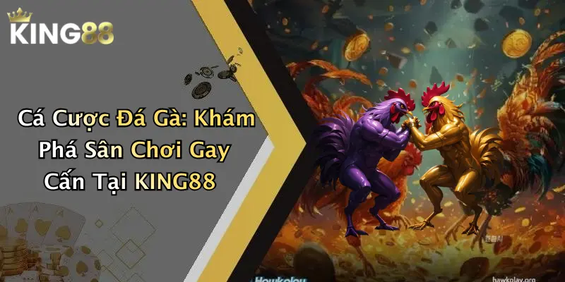 Cá Cược Đá Gà: Khám Phá Sân Chơi Gay Cấn Tại KING88