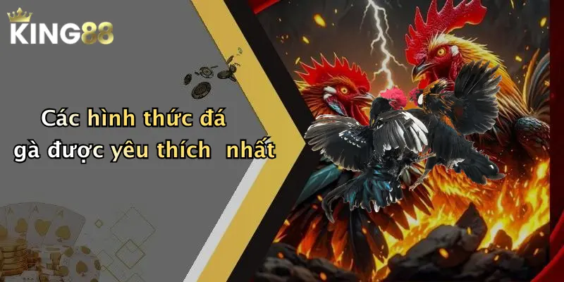 Các hình thức đá gà được yêu thích nhất