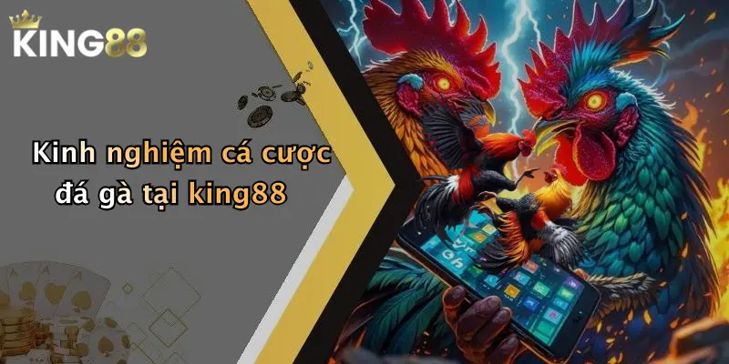 Kinh nghiệm cá cược đá gà tại king88