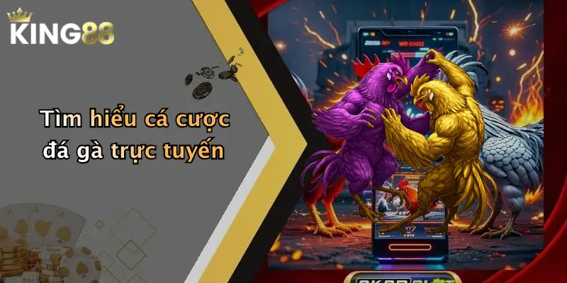 Tìm hiểu cá cược đá gà trực tuyến